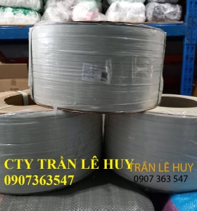 Dây đai nhựa PP