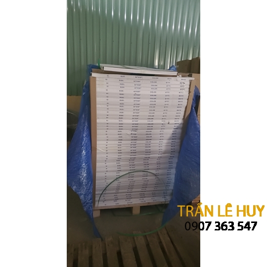 Thảm dính bụi phòng sạch Sticky mat 60x90cm 