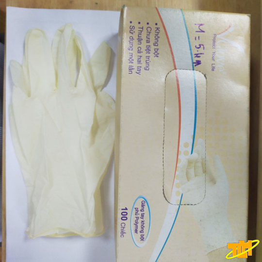 Găng tay y tế Latex không bột Vglove phủ Polymer